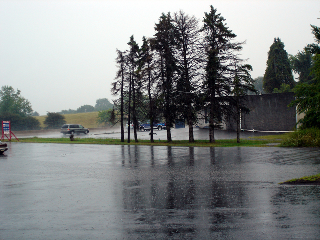 08-RainyPA